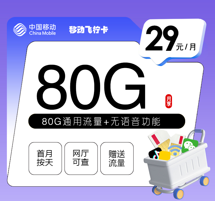 移动飞柠卡【29元80G】 移动飞柠卡【29元80G】
